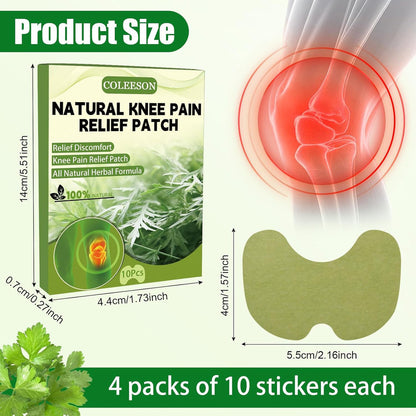 HealPatch™ - Herbal Knee Pain Relief Patches | ⭐️⭐️⭐️⭐️⭐️ 4.9/5 Rated